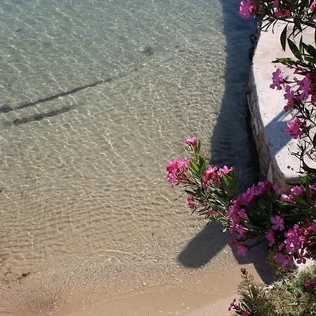 Apartment By The Sea - Gornja, Rab - 2016 *
