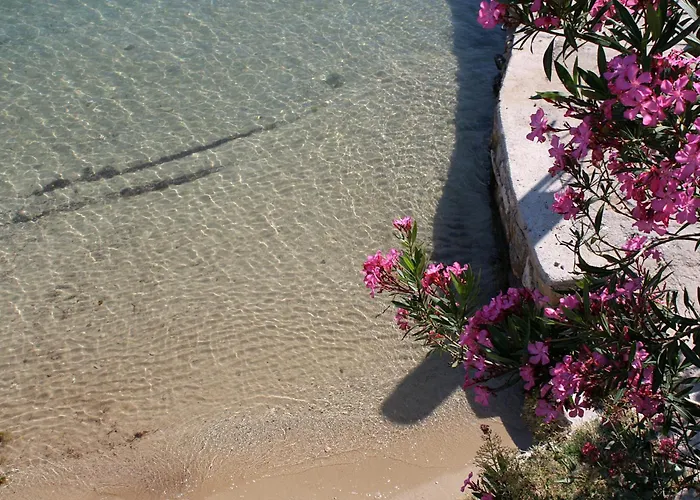 Apartment By The Sea - Gornja, Rab - 2016 *